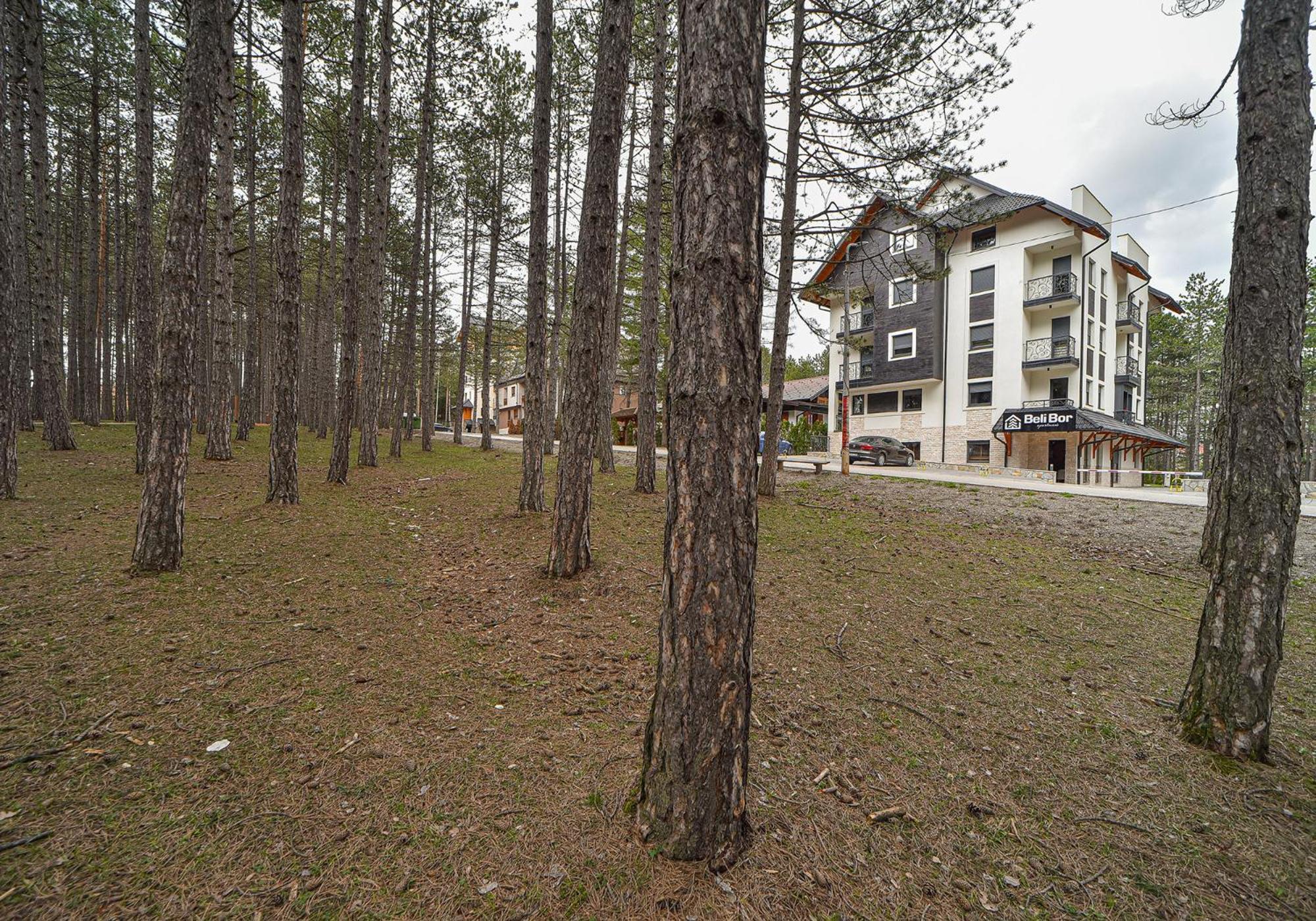 Beli Bor Zlatibor Aparthotel Exterior foto